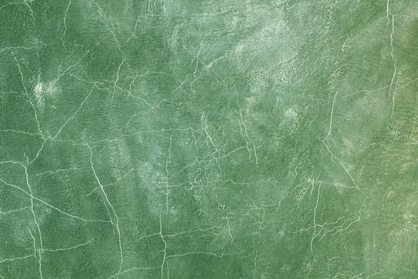 Beautiful Green Background Leather Texture Green Veins Green Leather Sample — Stock Photo, Image