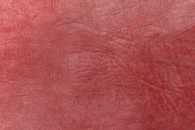 Beautiful red background with leather texture with red veins of red leather background as sample of red background from natural leather or sample of texture of leather for beautiful natural background