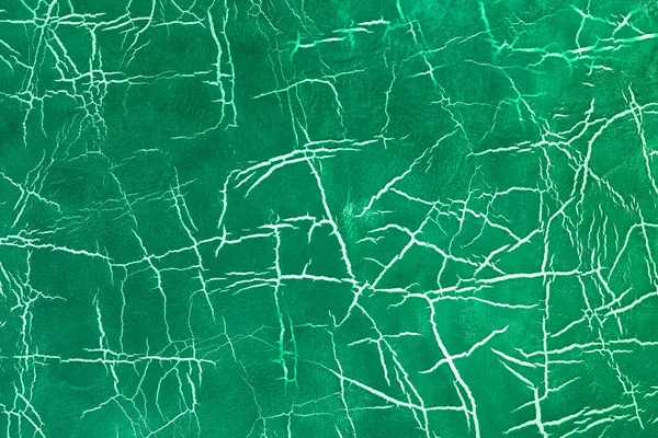 Beautiful green background with leather texture with green veins of green leather as sample of green background from natural leather or sample of texture of leather for beautiful natural background