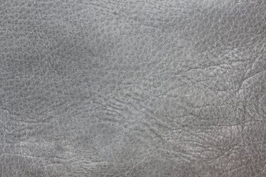 Gri deri arkaplan ile deri dokuya sahip güzel gri deri arka plan doğal deriden alınan gri arkaplan örneği ya da güzel arka plan için deri dokusu örneği.