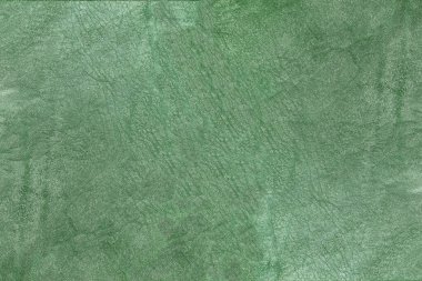 Yeşil deri damarları olan yeşil derili güzel yeşil arkaplan doğal deriden yeşil arkaplan örneği ya da güzel doğal arkaplan için deri dokusu örneği.