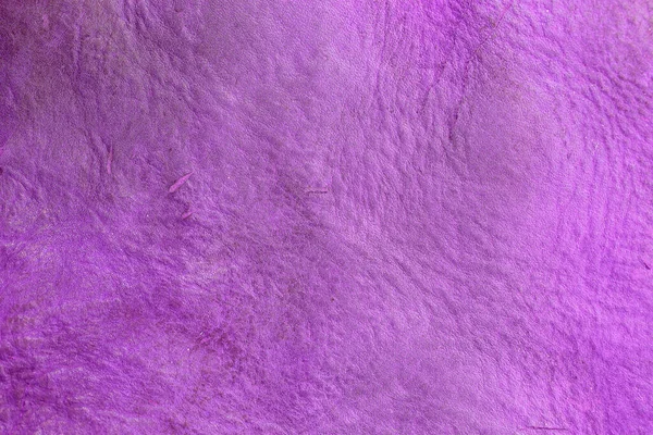Красивый Фиолетовый Фон Кожаной Текстурой Фиолетовыми Венами Фиолетовой Кожи Качестве — стоковое фото