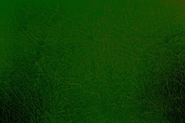 Gyönyörű Zöld Háttér Bőr Textúra Zöld Vénák Zöld Bőr Minta — Stock Fotó