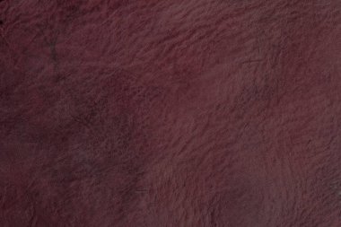 Beautiful red background with leather texture with red veins of red leather background as sample of red background from natural leather or sample of texture of leather for beautiful natural background