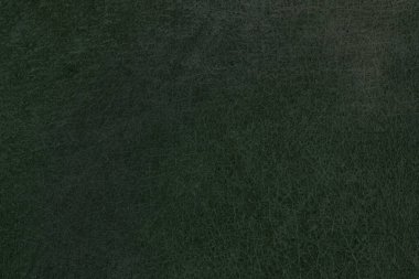 Yeşil deri damarları olan yeşil derili güzel yeşil arkaplan doğal deriden yeşil arkaplan örneği ya da güzel doğal arkaplan için deri dokusu örneği.