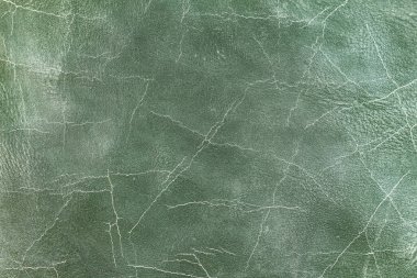 Yeşil deri damarları olan yeşil derili güzel yeşil arkaplan doğal deriden yeşil arkaplan örneği ya da güzel doğal arkaplan için deri dokusu örneği.