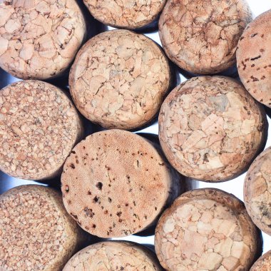 Portre desen arka plan birçok farklı şarap Mantarlar, şarap mantarlar arka plan, farklı şarap mantar doku