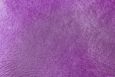 Güzel mor arkaplan, deri desenli, mor deri damarlı, doğal deriden alınmış mor arkaplan örneği ya da doğal arka plan için deri dokusu örneği.