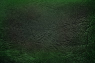 Yeşil deri damarları olan yeşil derili güzel yeşil arkaplan doğal deriden yeşil arkaplan örneği ya da güzel doğal arkaplan için deri dokusu örneği.