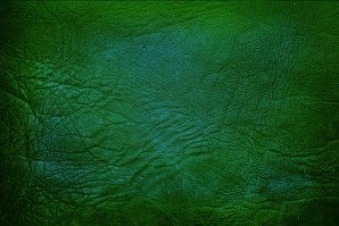 Yeşil deri damarları olan yeşil derili güzel yeşil arkaplan doğal deriden yeşil arkaplan örneği ya da güzel doğal arkaplan için deri dokusu örneği.