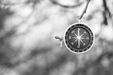 Pusula ile turizmin sembolü olarak doğal arka planda klasik navigasyon pusulası, pusula ile seyahat ve pusula ile açık hava aktiviteleri