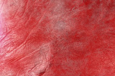 Beautiful red background with leather texture with red veins of red leather background as sample of red background from natural leather or sample of texture of leather for beautiful natural background