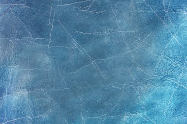 Beautiful blue background with leather texture with blue veins of blue leather as sample of blue background from natural leather or sample of background texture of leather for natural background