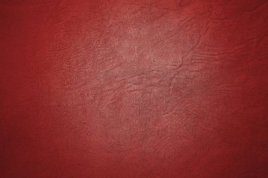 Beautiful red background with leather texture with red veins of red leather background as sample of red background from natural leather or sample of texture of leather for beautiful natural background