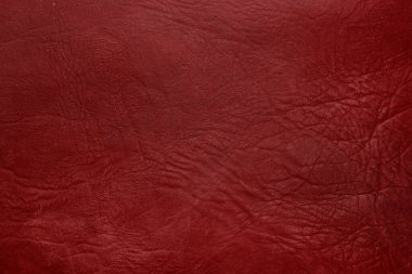 Beautiful red background with leather texture with red veins of red leather background as sample of red background from natural leather or sample of texture of leather for beautiful natural background
