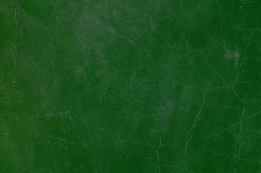 Yeşil deri damarları olan yeşil derili güzel yeşil arkaplan doğal deriden yeşil arkaplan örneği ya da güzel doğal arkaplan için deri dokusu örneği.