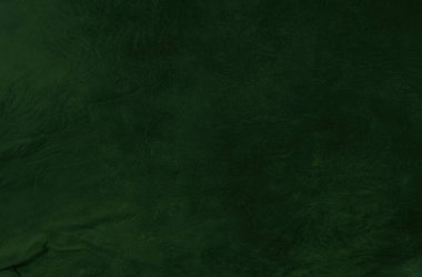 Yeşil deri damarları olan yeşil derili güzel yeşil arkaplan doğal deriden yeşil arkaplan örneği ya da güzel doğal arkaplan için deri dokusu örneği.