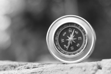 Pusula ile turizmin sembolü olarak doğal arka planda klasik navigasyon pusulası, pusula ile seyahat ve pusula ile açık hava aktiviteleri