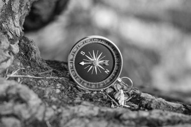 Pusula ile turizmin sembolü olarak doğal arka planda klasik navigasyon pusulası, pusula ile seyahat ve pusula ile açık hava aktiviteleri