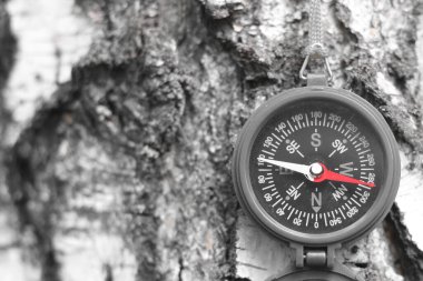 Pusula ile turizmin sembolü olarak doğal arka planda klasik navigasyon pusulası, pusula ile seyahat ve pusula ile açık hava aktiviteleri