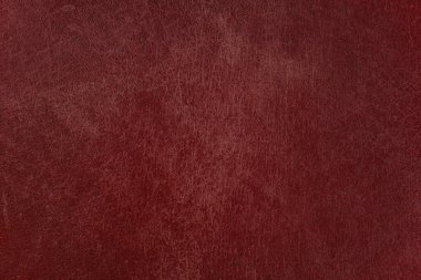 Beautiful red background with leather texture with red veins of red leather background as sample of red background from natural leather or sample of texture of leather for beautiful natural background