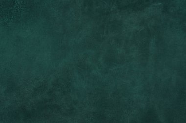 Yeşil deri damarları olan yeşil derili güzel yeşil arkaplan doğal deriden yeşil arkaplan örneği ya da güzel doğal arkaplan için deri dokusu örneği.