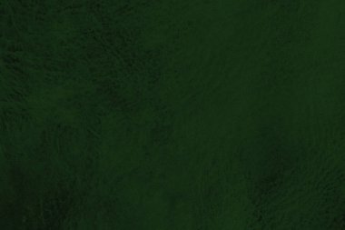 Yeşil deri damarları olan yeşil derili güzel yeşil arkaplan doğal deriden yeşil arkaplan örneği ya da güzel doğal arkaplan için deri dokusu örneği.