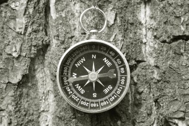 Pusula ile turizmin sembolü olarak doğal arka planda klasik navigasyon pusulası, pusula ile seyahat ve pusula ile açık hava aktiviteleri