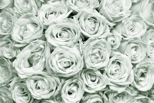 Beyaz gül buketi ile doğal çiçek arka plan