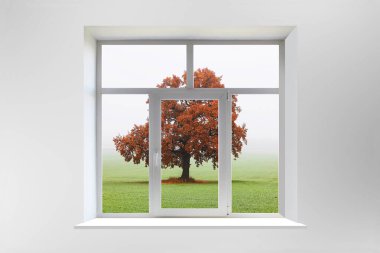 Sonbaharda pencereden ağaç görüntüsü