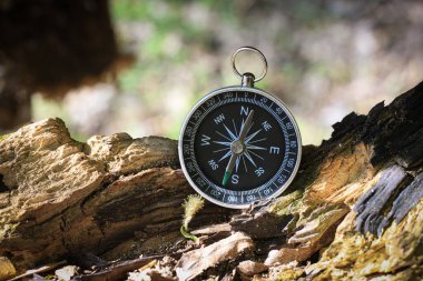 Pusula ile turizmin sembolü olarak doğal arka planda klasik navigasyon pusulası, pusula ile seyahat ve pusula ile açık hava aktiviteleri