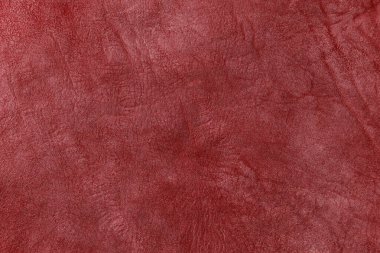 Beautiful red background with leather texture with red veins of red leather background as sample of red background from natural leather or sample of texture of leather for beautiful natural background