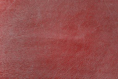 Beautiful red background with leather texture with red veins of red leather background as sample of red background from natural leather or sample of texture of leather for beautiful natural background