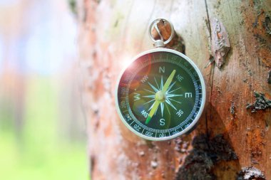 Klasik navigasyon, turizmin sembolü olarak doğal arka planda parlak pusula, pusula ile seyahat ve pusula ile açık hava aktiviteleri