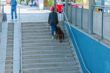 İki köpek tasmalı bir kadın metro istasyonunun merdivenlerinden yukarı çıkıyor.