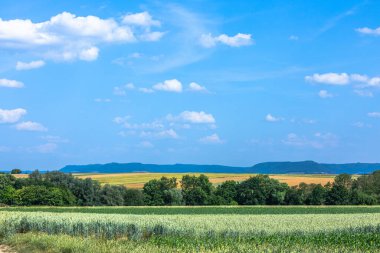 Almanya 'daki Swabian alblerine panoramik manzara görüntüsü