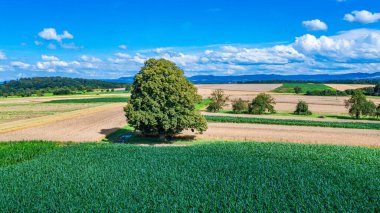 scenic view of fields in the summer with view to the swabian alb clipart