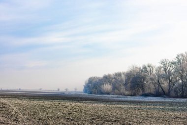 Kış mevsiminde çayırlarda ve ağaçlarda don olur.