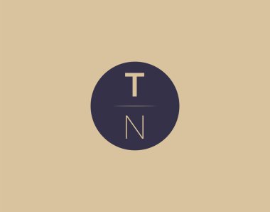 TN letter modern elegant logo design vector images