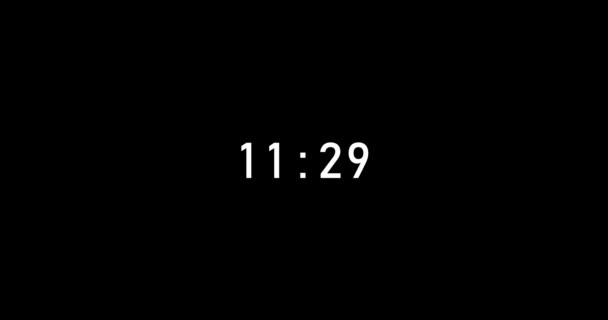 Seconds Digital Timer Countdown Animation Isolated Black Background Countdown Timer — Stock video