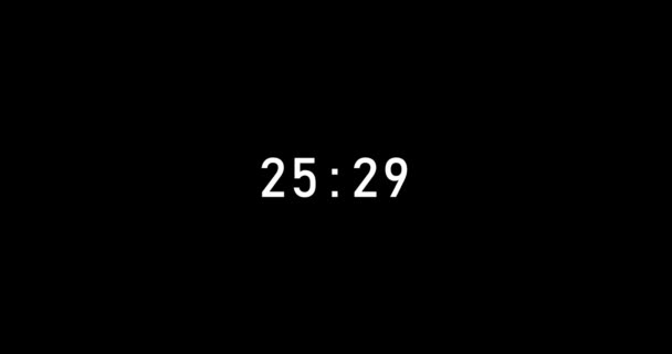 Seconds Digital Timer Countdown Animation Isolated Black Background Countdown Timer — Video Stock