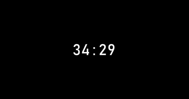 Seconds Digital Timer Countdown Animation Isolated Black Background Countdown Timer — Video