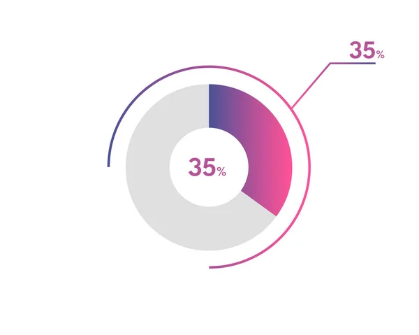 Percentage Circle Diagrams Infographics Vector Circle Diagram Business Illustration Designing — Stock Vector