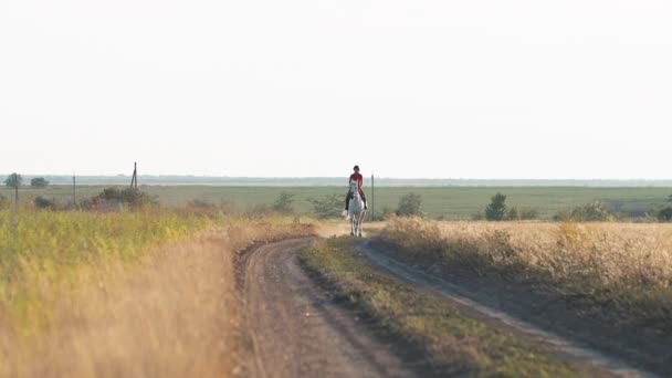 Una Mujer Con Uniforme Rojo Camina Sobre Caballo Blanco Campo — Vídeos de Stock