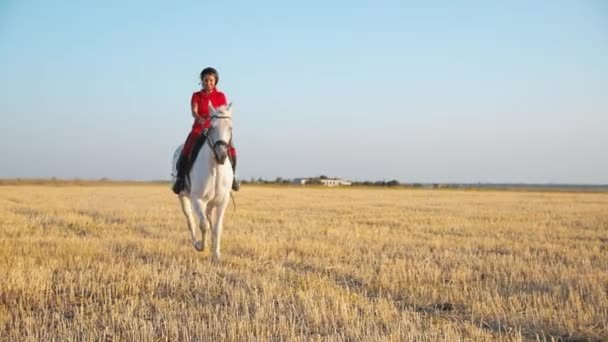 Жінка Червоній Формі Ходить Білому Коні Полі Сіна Рухається Бік — стокове відео