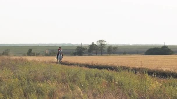 Жінка Червоній Формі Ходить Білому Коні Полі Сіна Рухається Бік — стокове відео