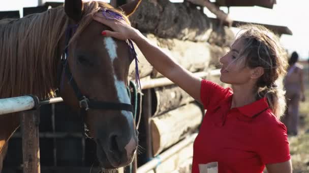 一个穿着红色衣服的女人在摊子里喂着一匹棕色的马 — 图库视频影像