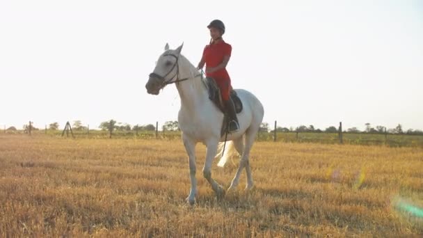 Woman Red Uniform Walks White Horse Field Hay Wide Shot — Stock Video