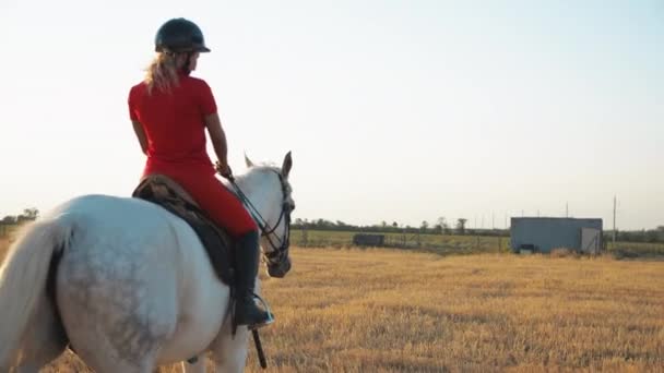 一个穿着红色制服的女人骑着一匹白马在干草地里散步 大范围拍摄 把镜头移开 从后面看 — 图库视频影像