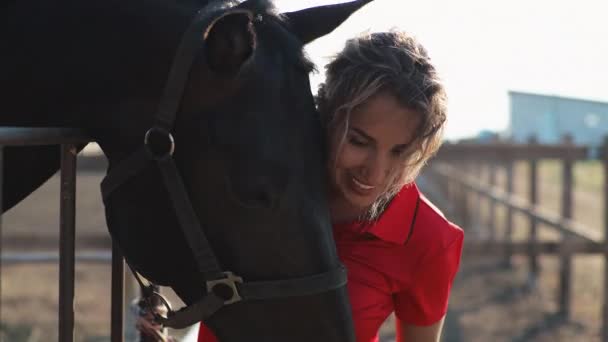 Μια Γυναίκα Ντυμένη Στα Κόκκινα Ταΐζει Μαύρο Άλογο Ένα Στάβλο — Αρχείο Βίντεο